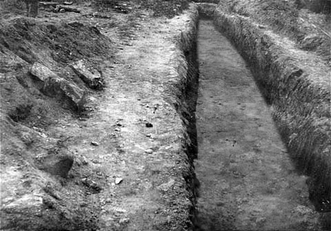 Mass grave: Mauthausen